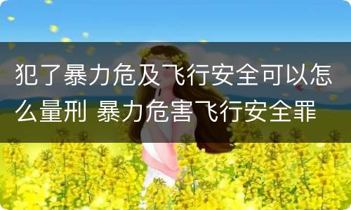 犯了暴力危及飞行安全可以怎么量刑 暴力危害飞行安全罪