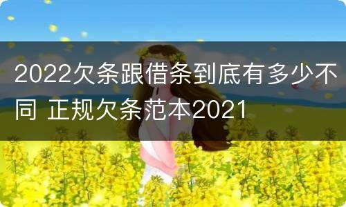 2022欠条跟借条到底有多少不同 正规欠条范本2021