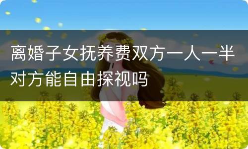 离婚子女抚养费双方一人一半对方能自由探视吗