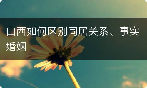 山西如何区别同居关系、事实婚姻