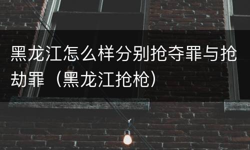 黑龙江怎么样分别抢夺罪与抢劫罪（黑龙江抢枪）