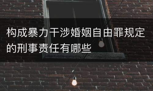 构成暴力干涉婚姻自由罪规定的刑事责任有哪些