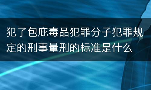 犯了包庇毒品犯罪分子犯罪规定的刑事量刑的标准是什么