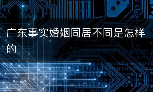 广东事实婚姻同居不同是怎样的