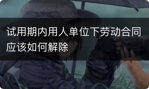 试用期内用人单位下劳动合同应该如何解除