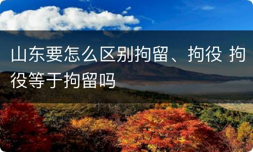 山东要怎么区别拘留、拘役 拘役等于拘留吗