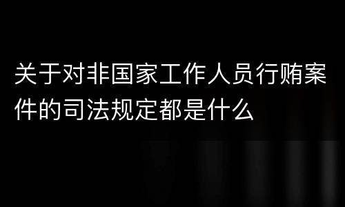 关于对非国家工作人员行贿案件的司法规定都是什么