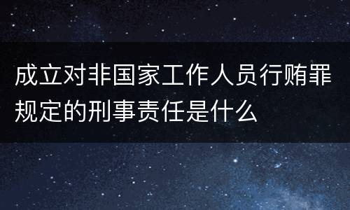 成立对非国家工作人员行贿罪规定的刑事责任是什么