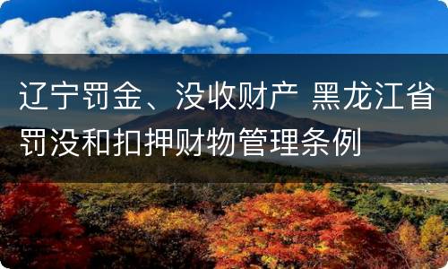 辽宁罚金、没收财产 黑龙江省罚没和扣押财物管理条例