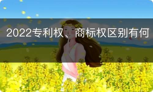 2022专利权、商标权区别有何