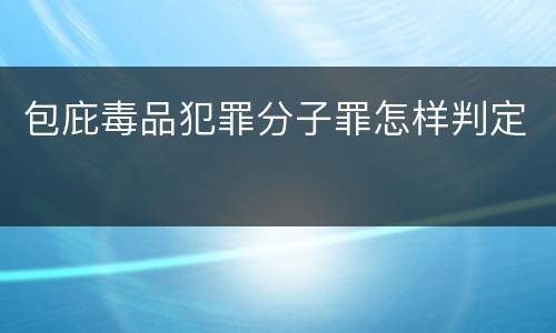 包庇毒品犯罪分子罪怎样判定