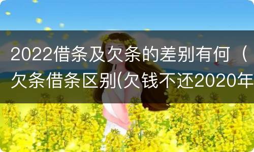 2022借条及欠条的差别有何（欠条借条区别(欠钱不还2020年新规 - 法律之家）
