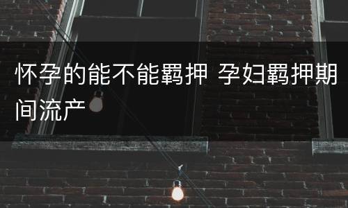 怀孕的能不能羁押 孕妇羁押期间流产