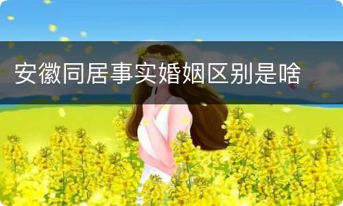 安徽同居事实婚姻区别是啥