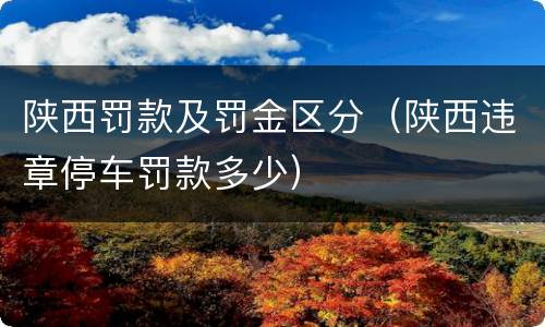 陕西罚款及罚金区分（陕西违章停车罚款多少）