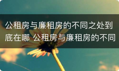 公租房与廉租房的不同之处到底在哪 公租房与廉租房的不同之处到底在哪些地方