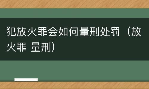 犯放火罪会如何量刑处罚（放火罪 量刑）