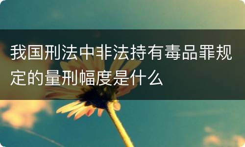 我国刑法中非法持有毒品罪规定的量刑幅度是什么