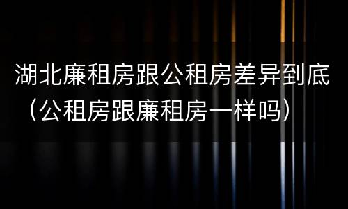 湖北廉租房跟公租房差异到底（公租房跟廉租房一样吗）