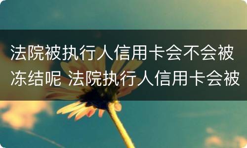 法院被执行人信用卡会不会被冻结呢 法院执行人信用卡会被冻结吗