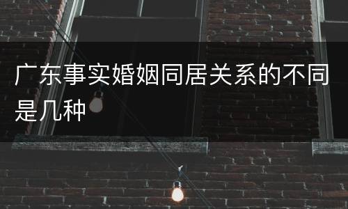 广东事实婚姻同居关系的不同是几种
