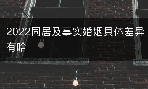 2022同居及事实婚姻具体差异有啥