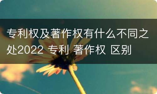 专利权及著作权有什么不同之处2022 专利 著作权 区别