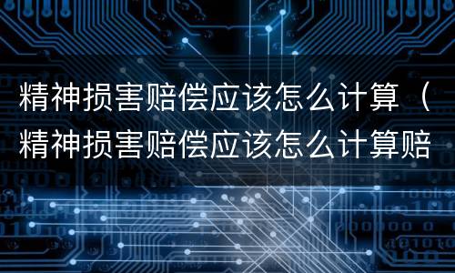 精神损害赔偿应该怎么计算（精神损害赔偿应该怎么计算赔偿金额）