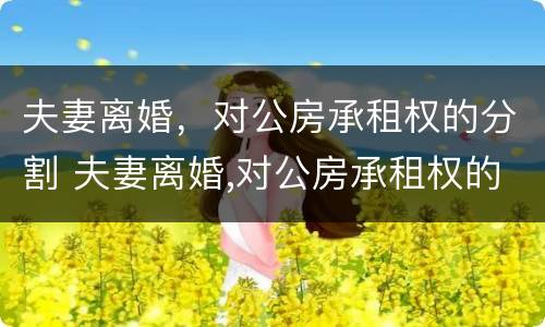 夫妻离婚，对公房承租权的分割 夫妻离婚,对公房承租权的分割有效吗