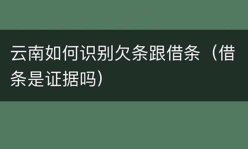 云南如何识别欠条跟借条（借条是证据吗）
