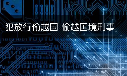 犯放行偷越国 偷越国境刑事