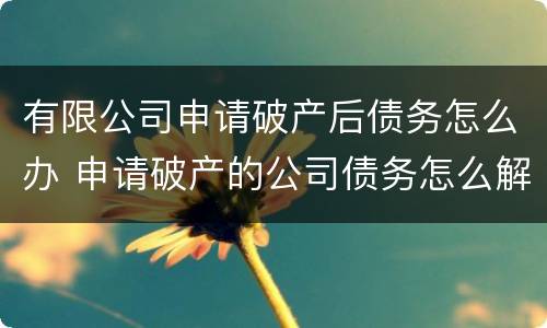 有限公司申请破产后债务怎么办 申请破产的公司债务怎么解决