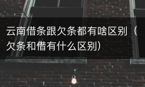 云南借条跟欠条都有啥区别（欠条和借有什么区别）