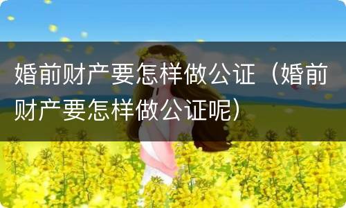 婚前财产要怎样做公证（婚前财产要怎样做公证呢）