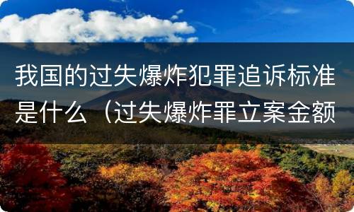 我国的过失爆炸犯罪追诉标准是什么（过失爆炸罪立案金额标准）