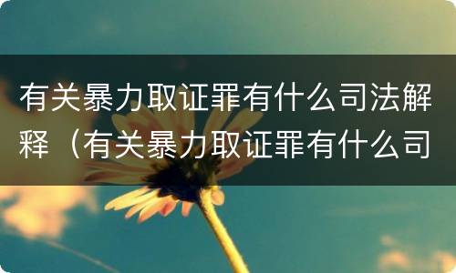 有关暴力取证罪有什么司法解释（有关暴力取证罪有什么司法解释规定）