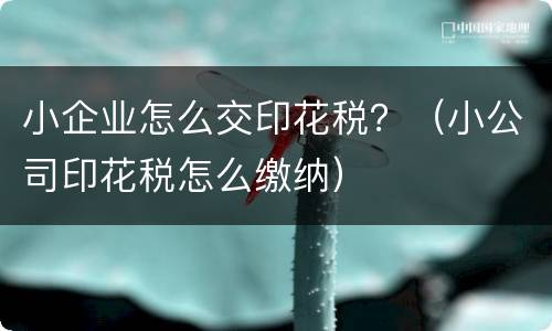 小企业怎么交印花税？（小公司印花税怎么缴纳）