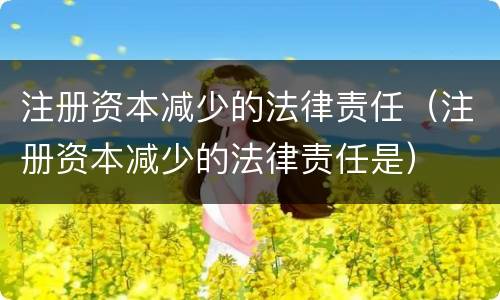 注册资本减少的法律责任（注册资本减少的法律责任是）