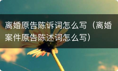 离婚原告陈诉词怎么写（离婚案件原告陈述词怎么写）