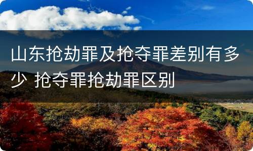 山东抢劫罪及抢夺罪差别有多少 抢夺罪抢劫罪区别
