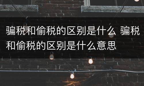 骗税和偷税的区别是什么 骗税和偷税的区别是什么意思