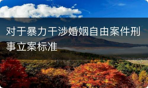 对于暴力干涉婚姻自由案件刑事立案标准