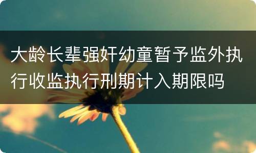 大龄长辈强奸幼童暂予监外执行收监执行刑期计入期限吗