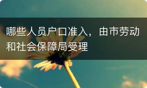 哪些人员户口准入，由市劳动和社会保障局受理
