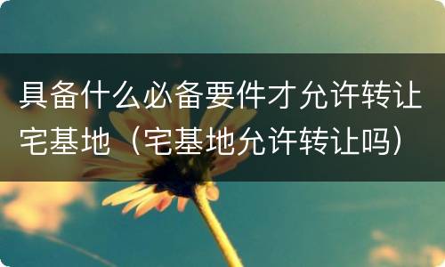 具备什么必备要件才允许转让宅基地（宅基地允许转让吗）