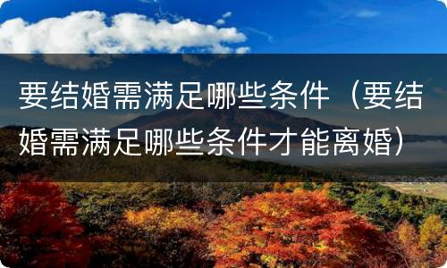 要结婚需满足哪些条件（要结婚需满足哪些条件才能离婚）