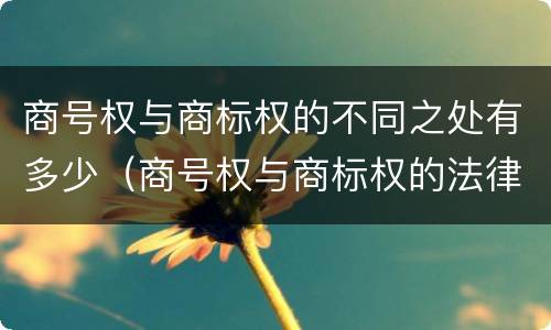 商号权与商标权的不同之处有多少（商号权与商标权的法律冲突与解决）
