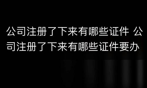 公司注册了下来有哪些证件 公司注册了下来有哪些证件要办