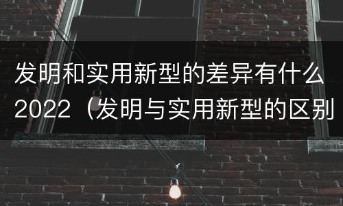 发明和实用新型的差异有什么2022（发明与实用新型的区别有哪些）