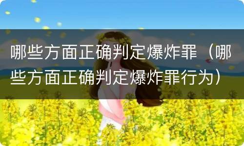 哪些方面正确判定爆炸罪（哪些方面正确判定爆炸罪行为）
